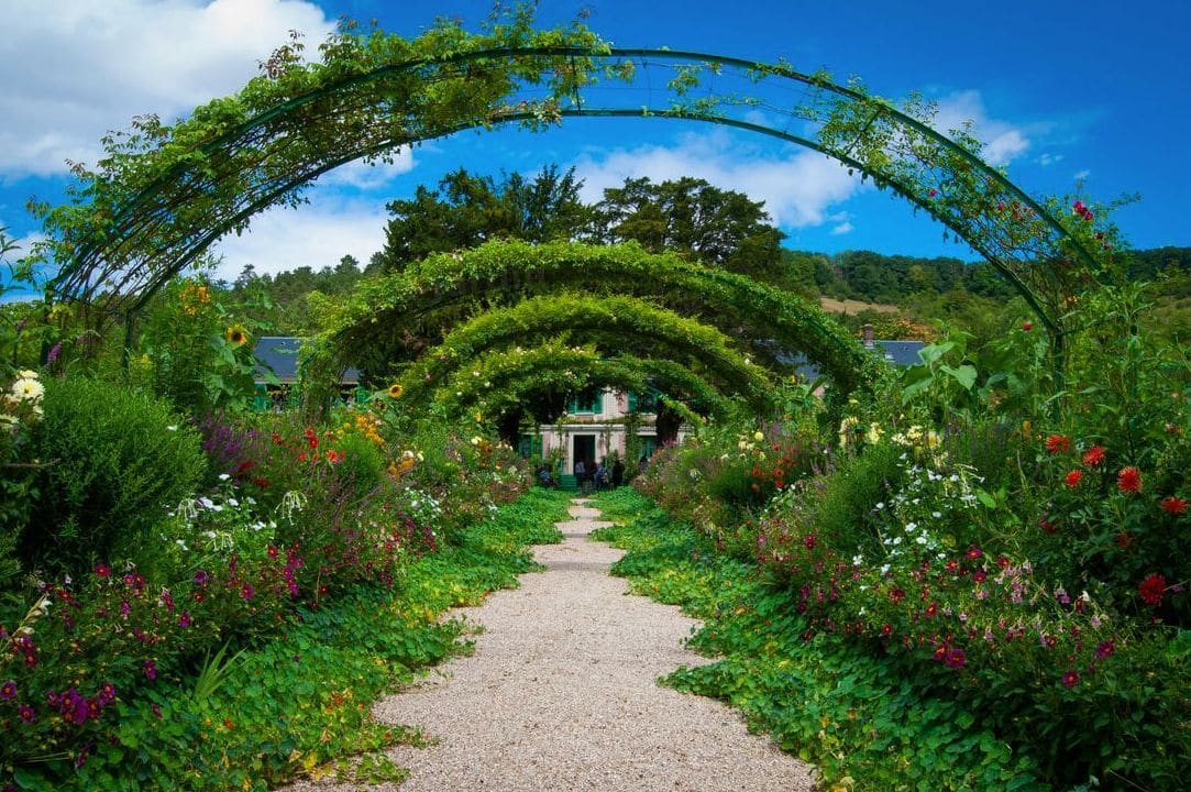 Comment choisir les bonnes plantes pour un jardin facile à entretenir